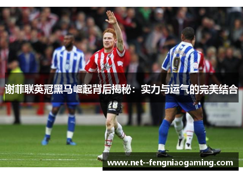 谢菲联英冠黑马崛起背后揭秘：实力与运气的完美结合