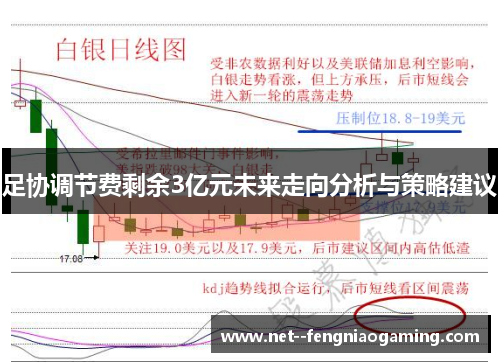 足协调节费剩余3亿元未来走向分析与策略建议