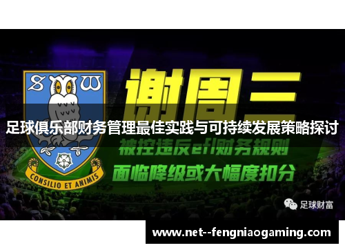 足球俱乐部财务管理最佳实践与可持续发展策略探讨