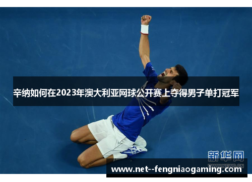 辛纳如何在2023年澳大利亚网球公开赛上夺得男子单打冠军
