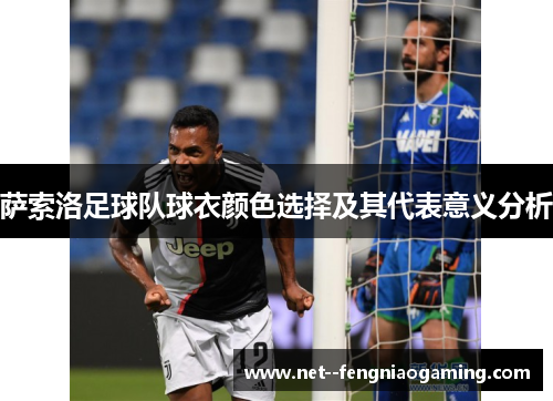 萨索洛足球队球衣颜色选择及其代表意义分析