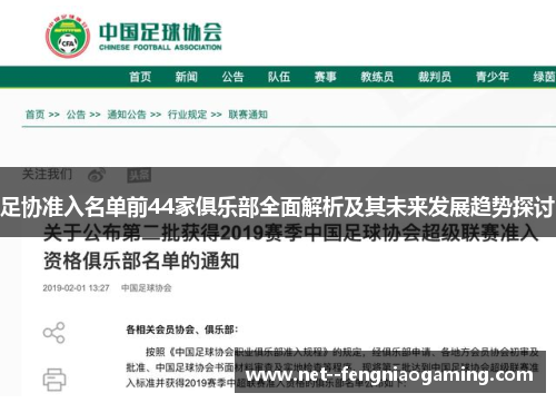 足协准入名单前44家俱乐部全面解析及其未来发展趋势探讨