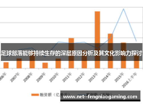 足球部落能够持续生存的深层原因分析及其文化影响力探讨