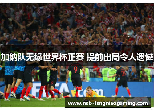 加纳队无缘世界杯正赛 提前出局令人遗憾