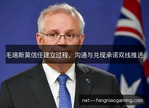 毛瑞斯莫信任建立过程，沟通与兑现承诺双线推进