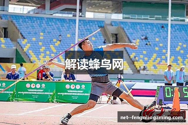 解读蜂鸟网